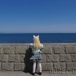海岸線を走る道